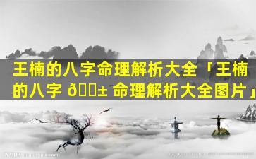王楠的八字命理解析大全「王楠的八字 🐱 命理解析大全图片」
